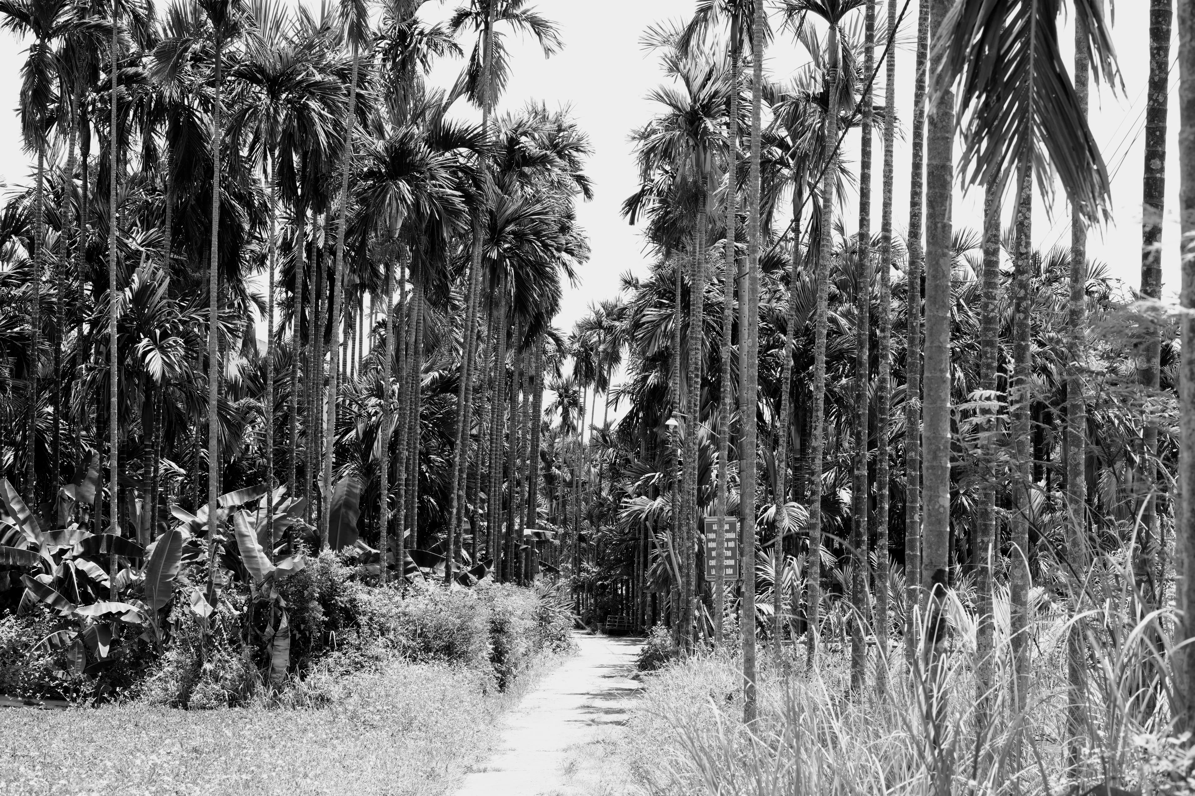 Website background Image