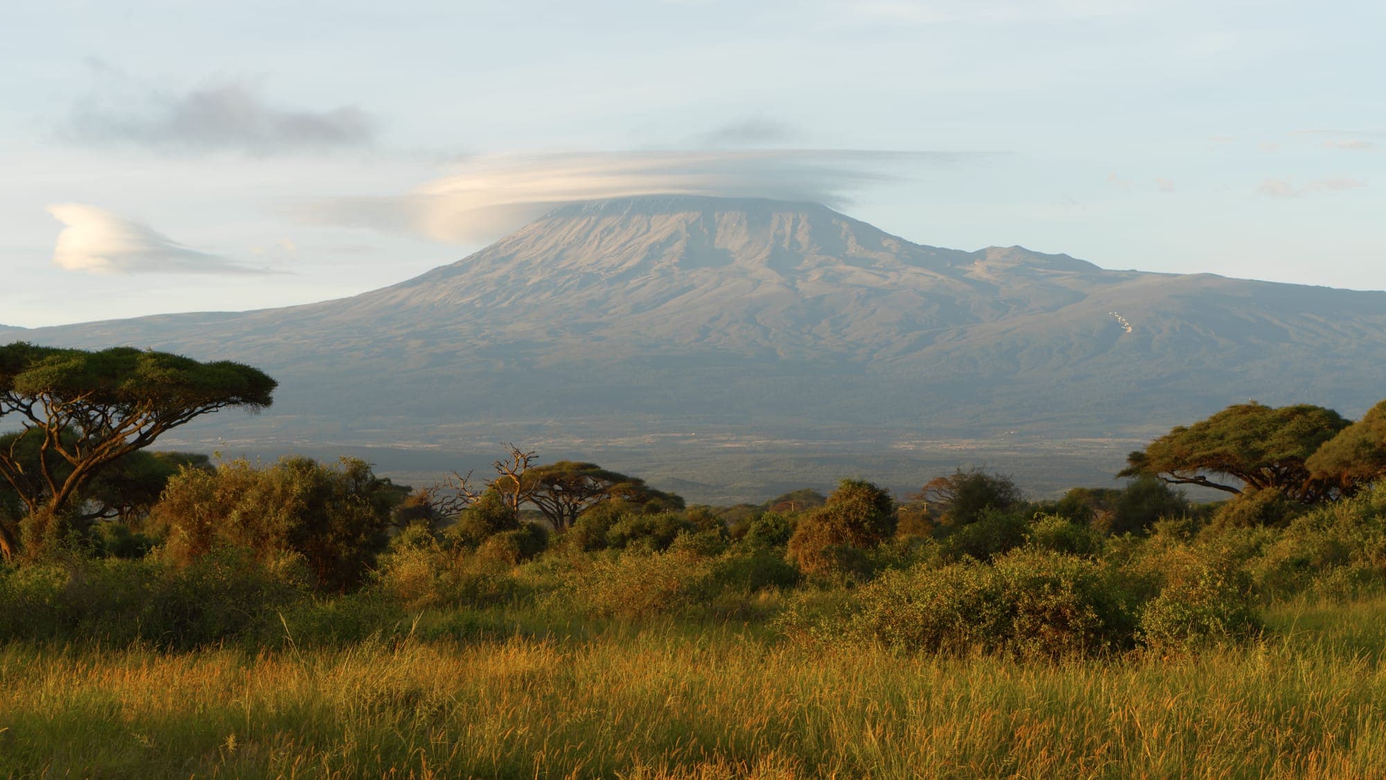 Website background Image